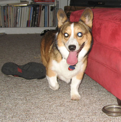 ein